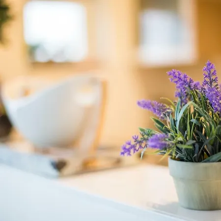 Modern Near The Sea. La Panne